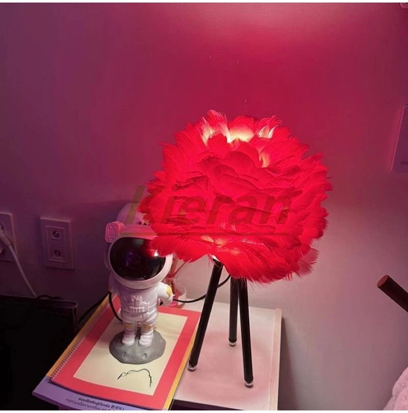 Lampe de chevet originale à Plume