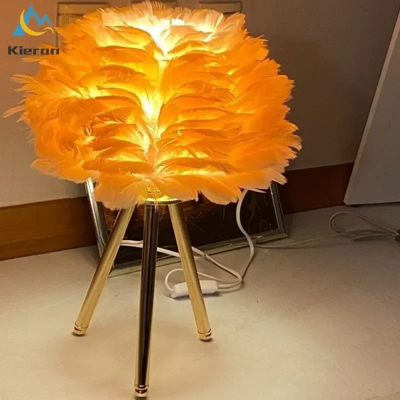 Lampe de chevet Originale à Plume LED