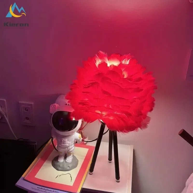 Lampe de chevet originale à Plume