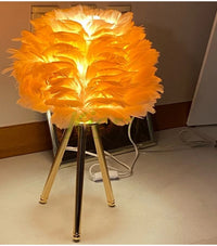 Lampe de chevet originale à Plume