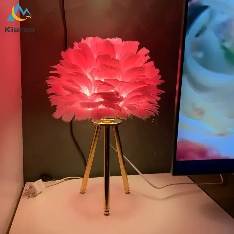Lampe de chevet Originale à Plume LED